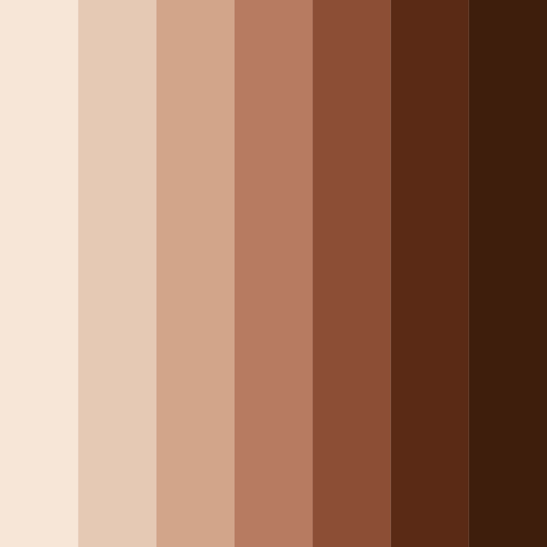 Download chocolate shades color palette PNG image (square)