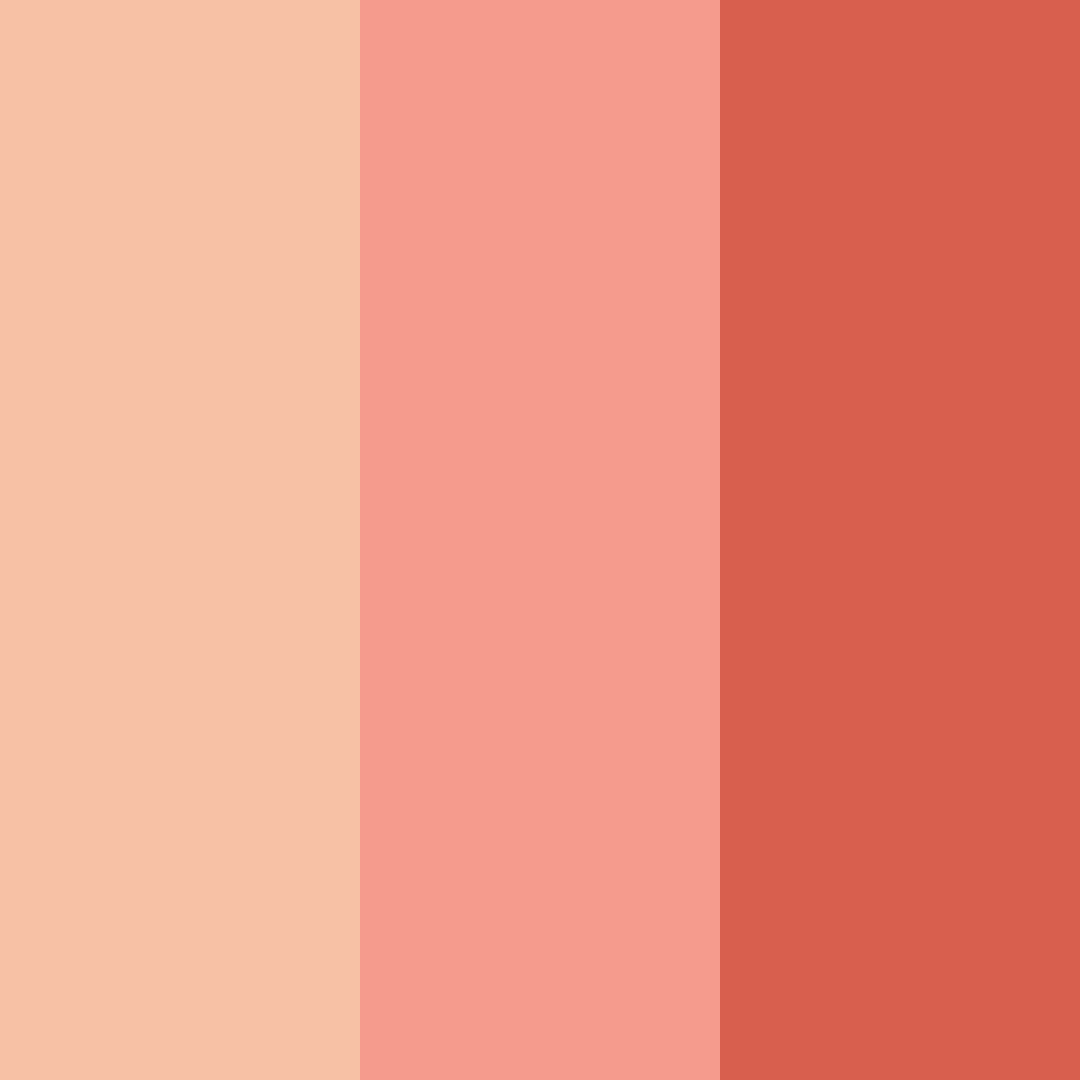 Download sunset blush color palette PNG image (square)