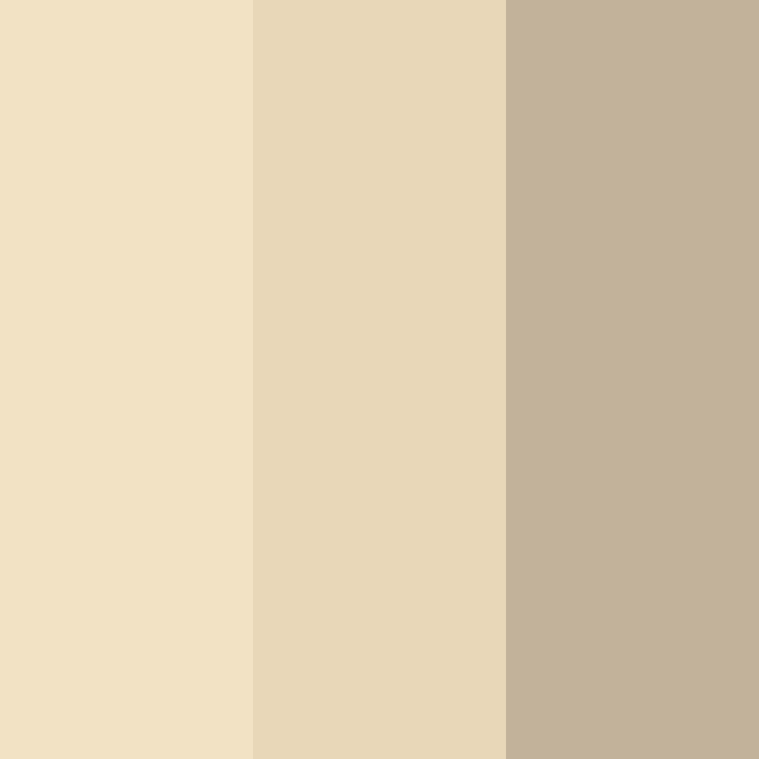 Download sand dune serenity color palette PNG image (square)