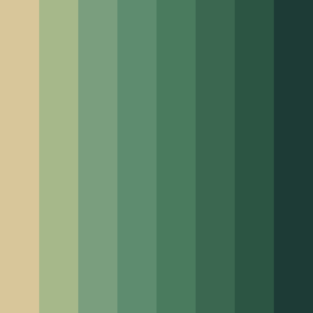 Download forest floor harmony color palette PNG image (square)