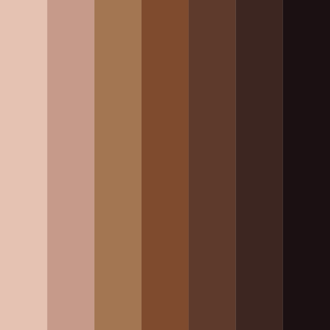 Download earthy elegance color palette PNG image (square)