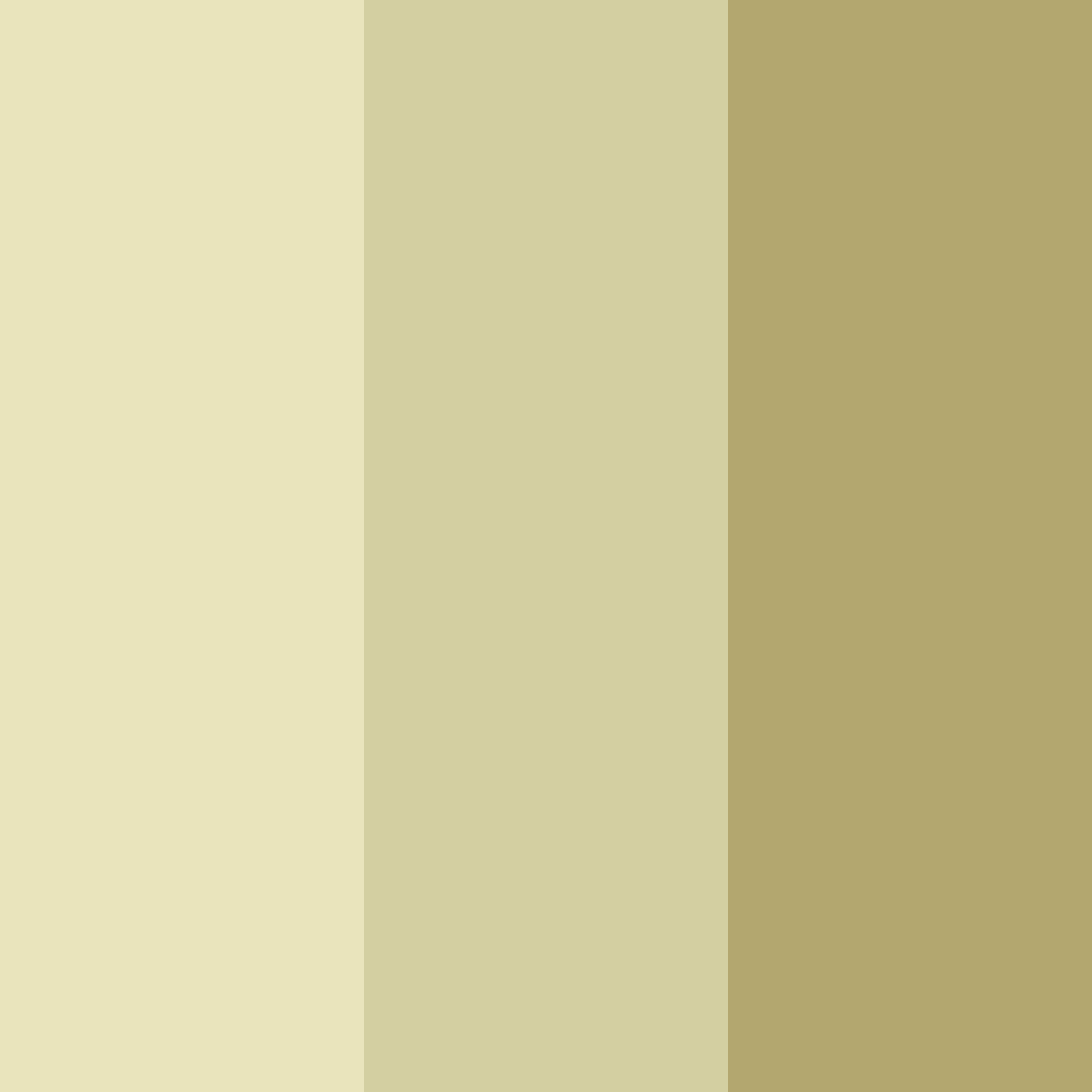 Download desert dunes color palette PNG image (square)