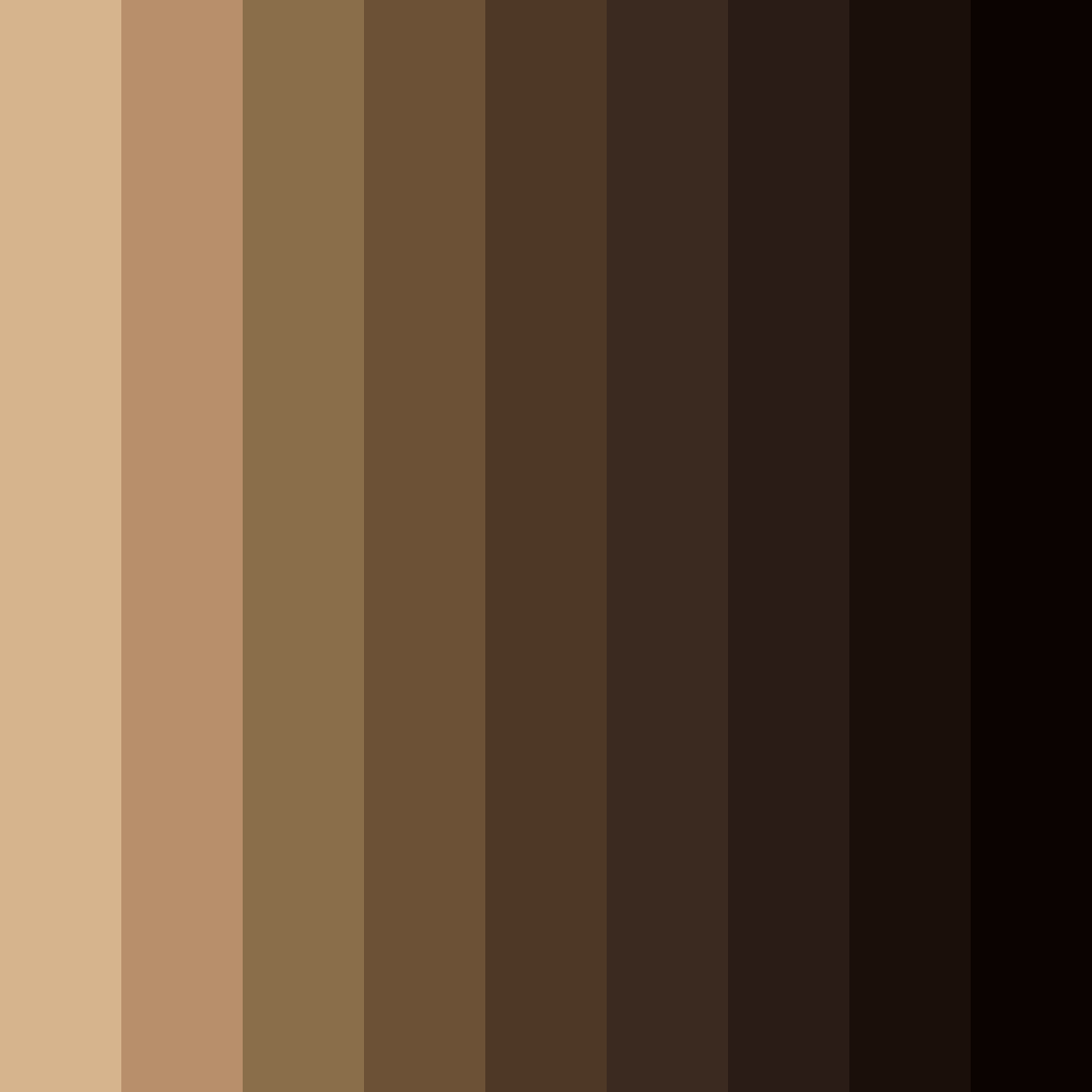 Download earthen elegance color palette PNG image (square)