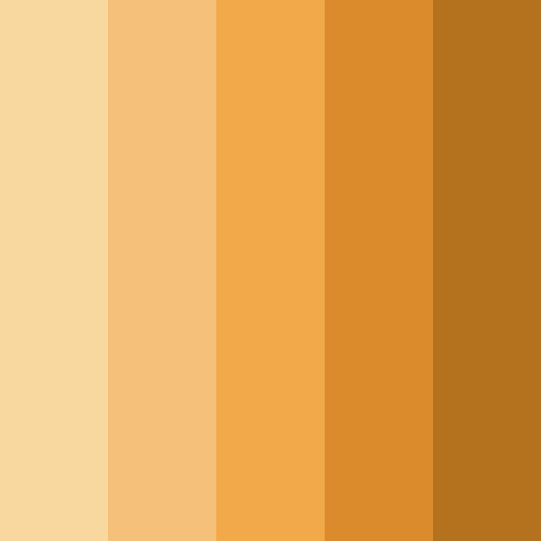 Download sunset harvest color palette PNG image (square)