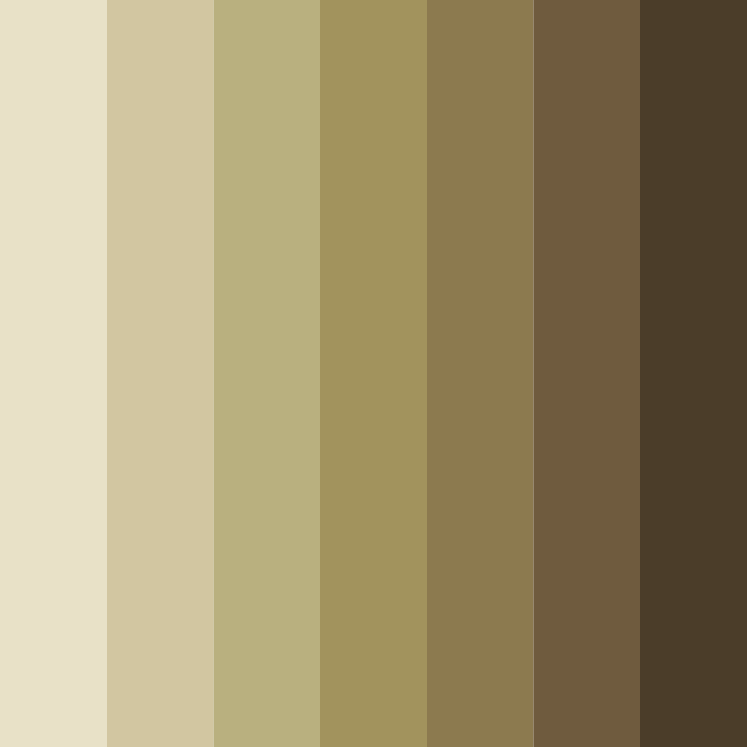 Download warm earth tones color palette PNG image (square)