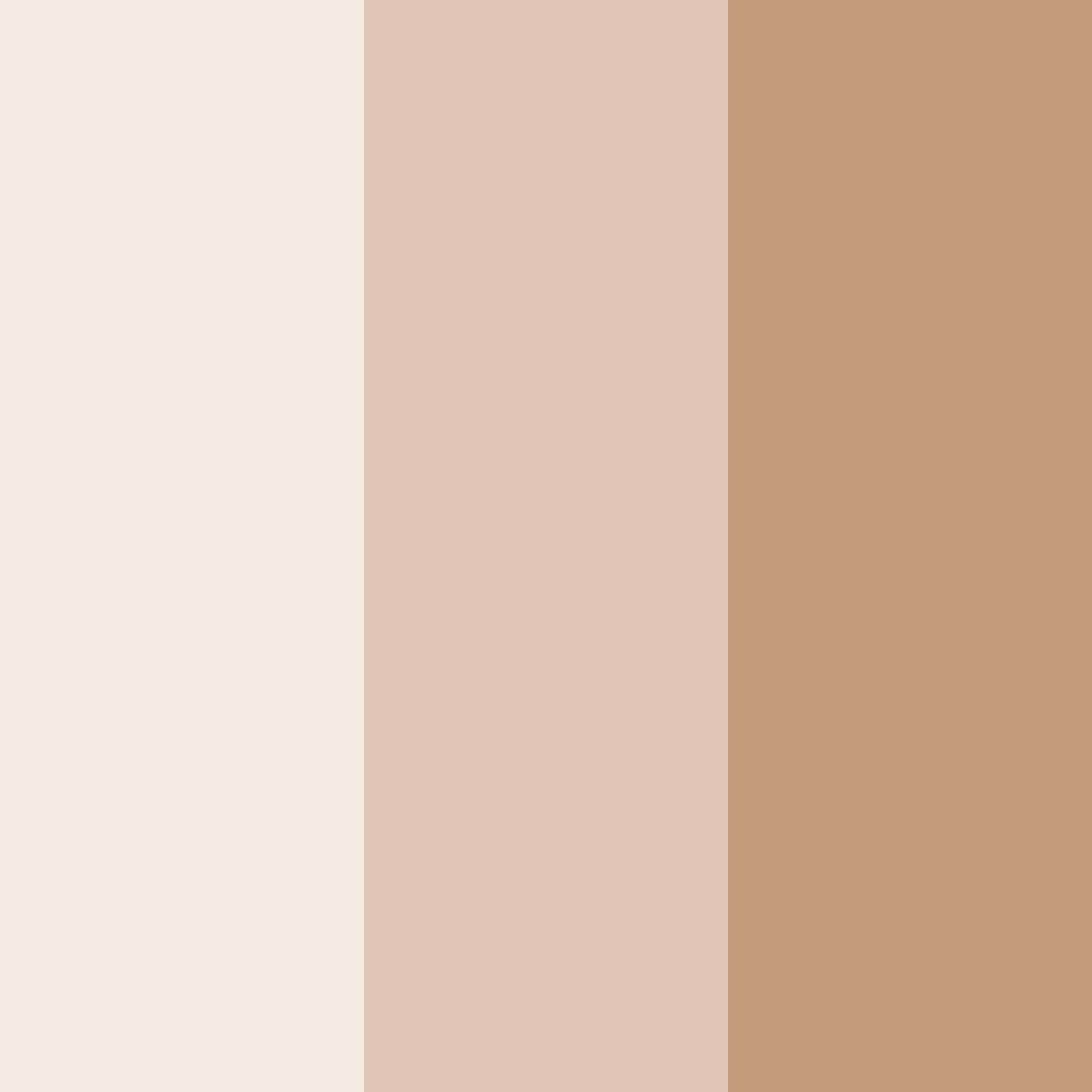 Download light beige color palette PNG image (square)