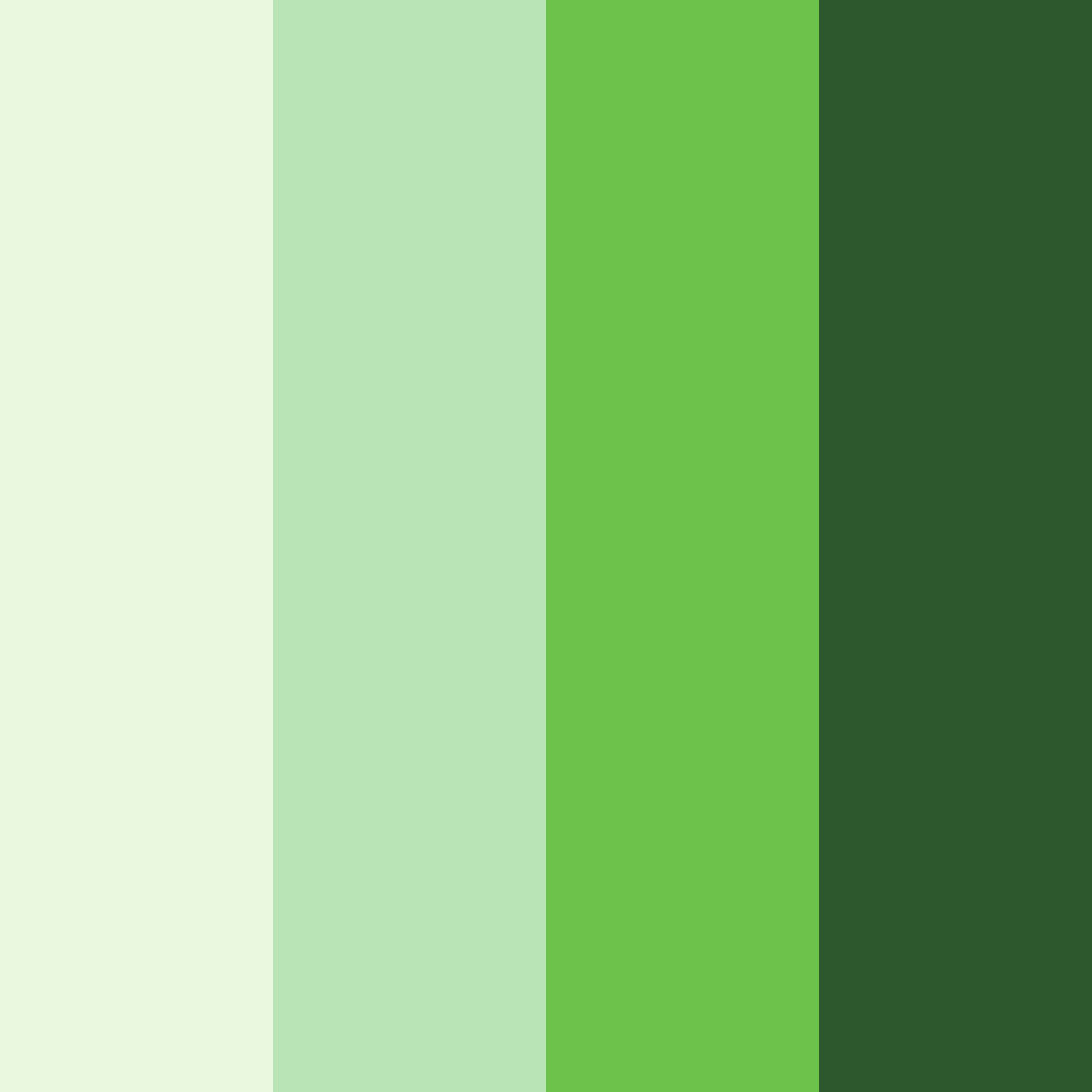 Download evergreen whimsy color palette PNG image (square)