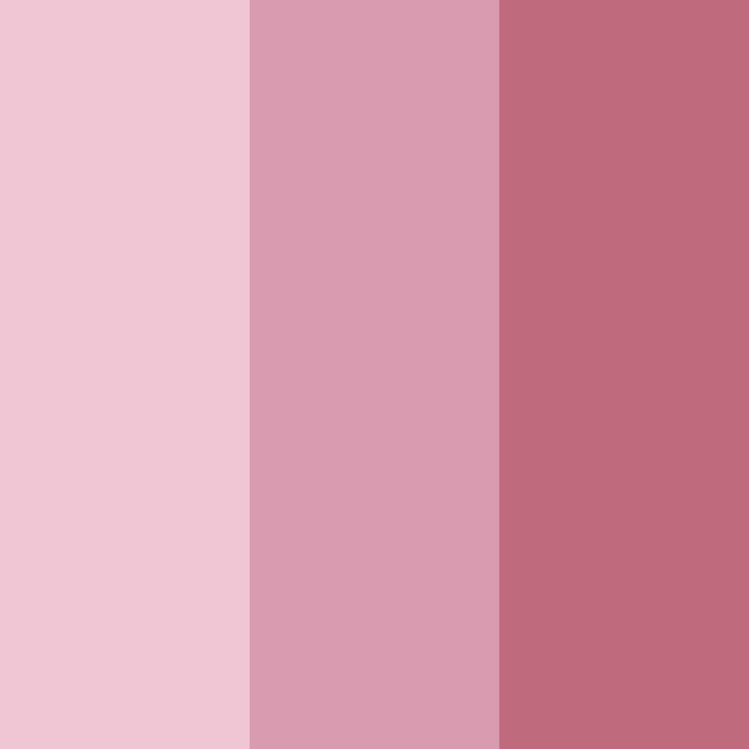 Download blushwood harmony color palette PNG image (square)