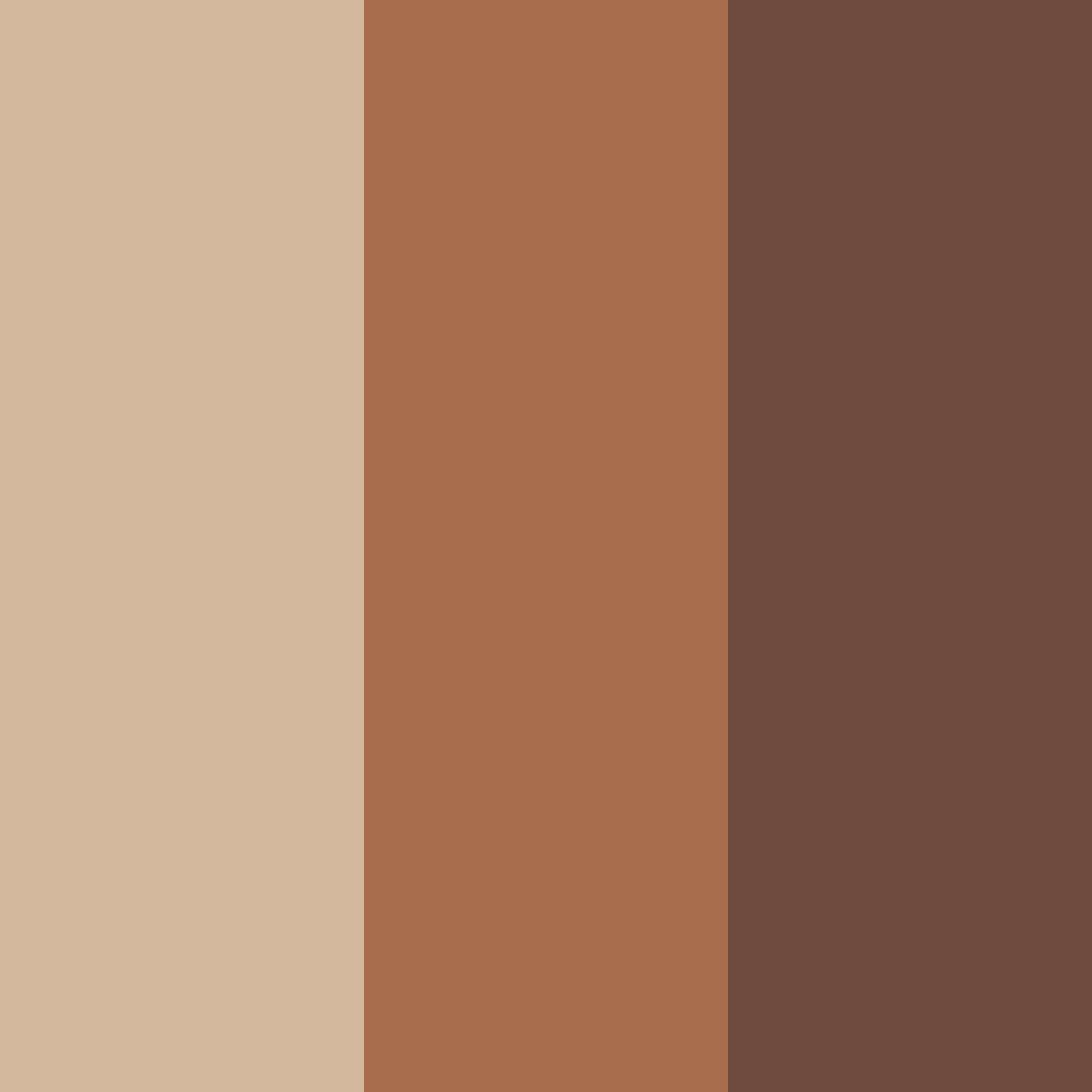 Download brown shades color palette PNG image (square)