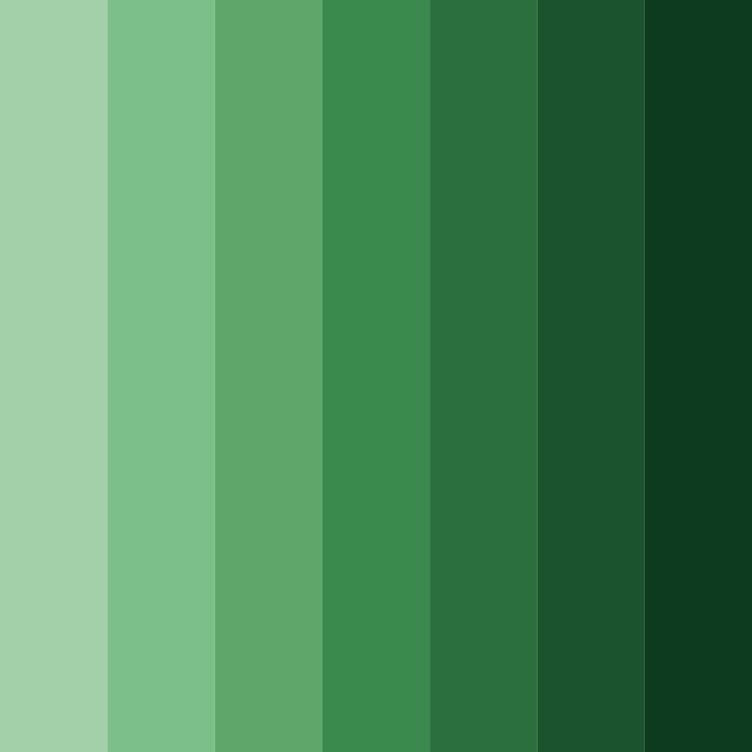 Download emerald canopy color palette PNG image (square)