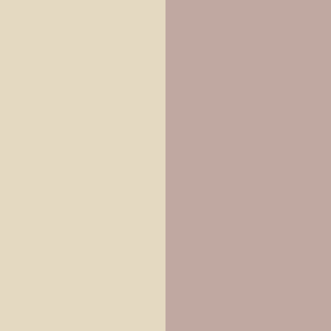Download creamy beige color palette PNG image (square)