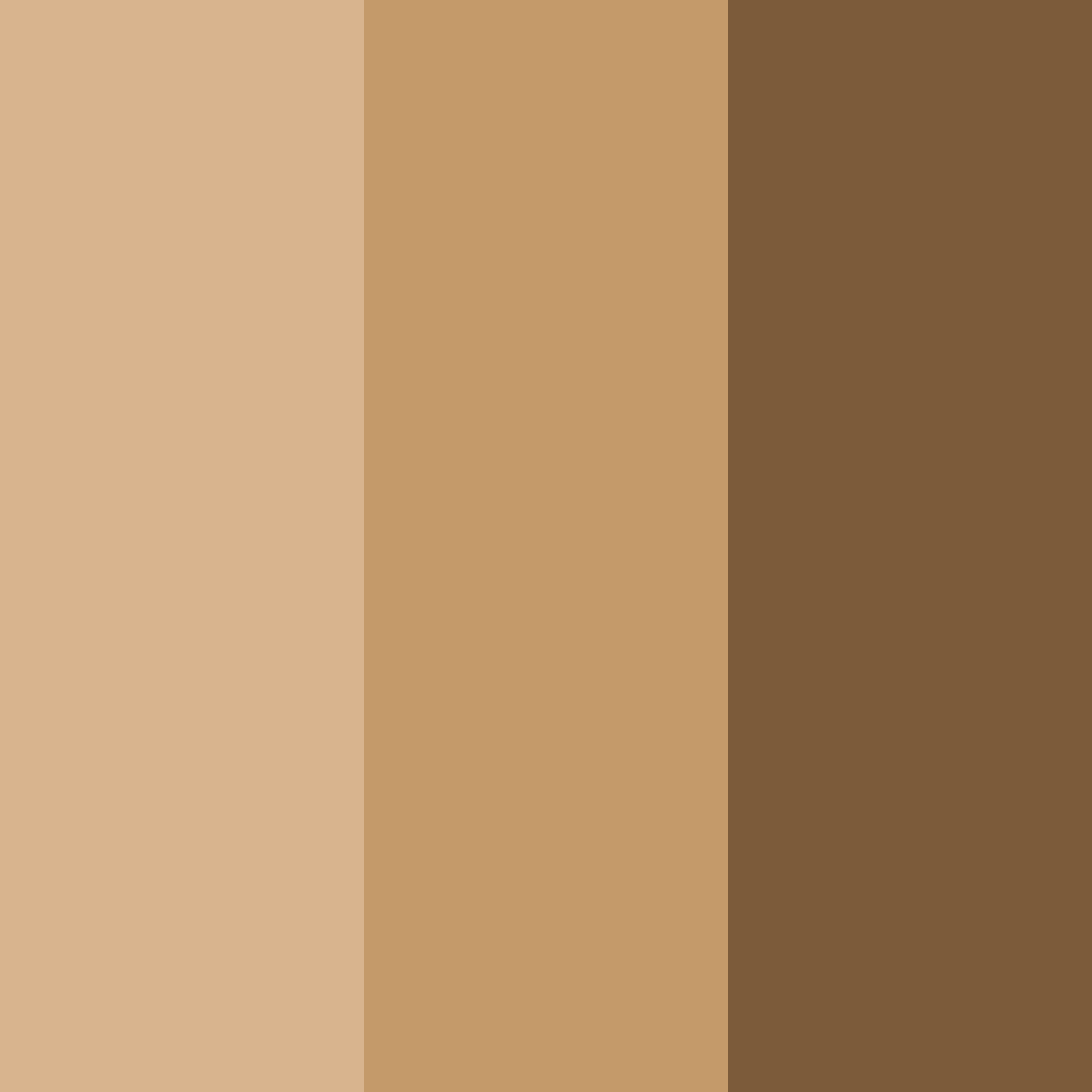 Download warm brown color palette PNG image (square)
