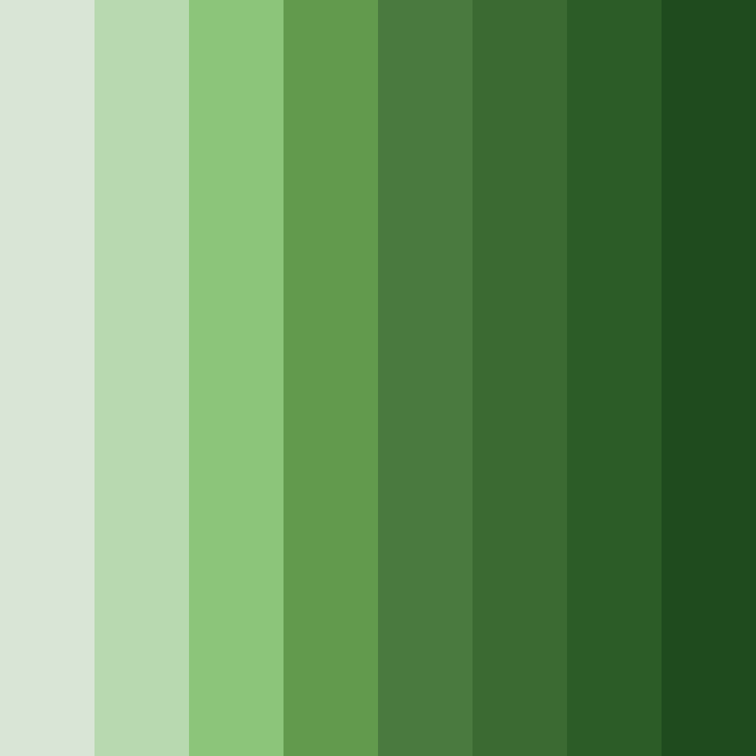 Download verdant haven color palette PNG image (square)