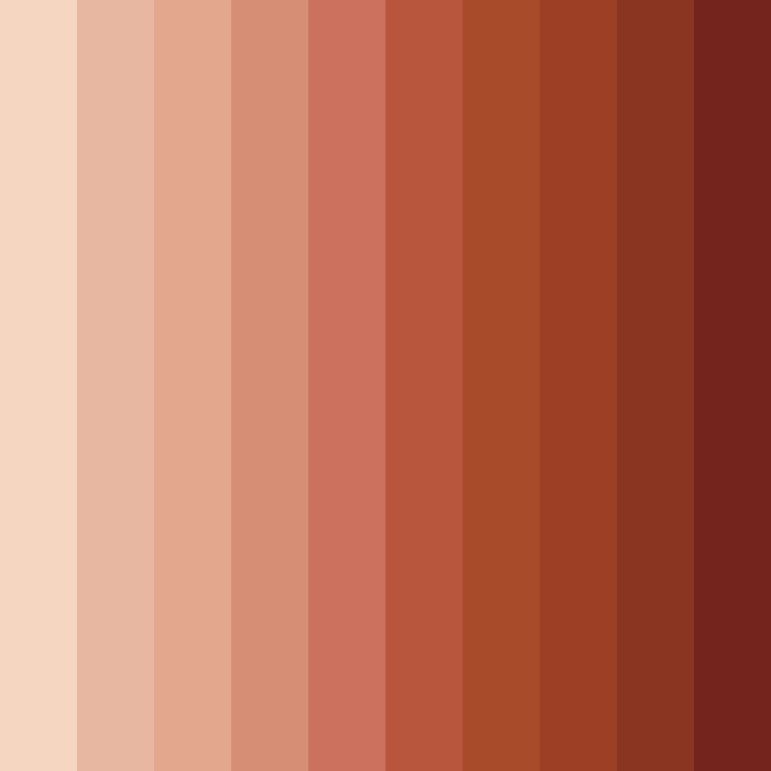Download warm terracotta color palette PNG image (square)