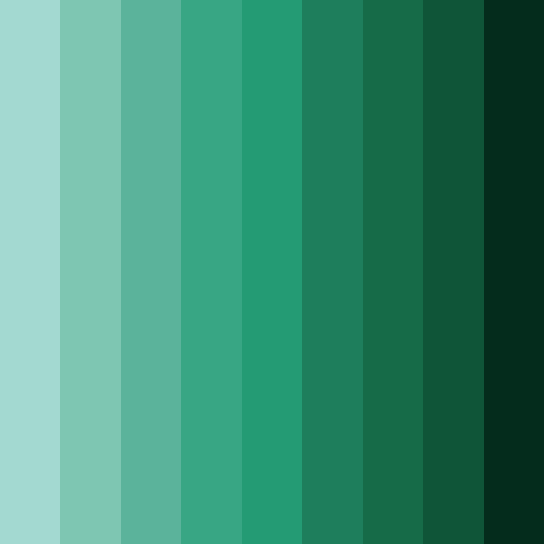 Download tropical rainforest serenity color palette PNG image (square)