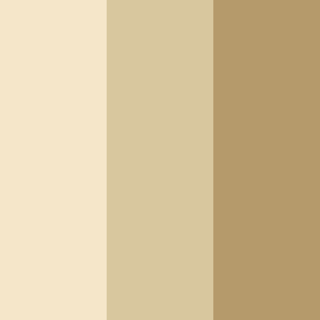 Download gold luxury color palette PNG image (square)