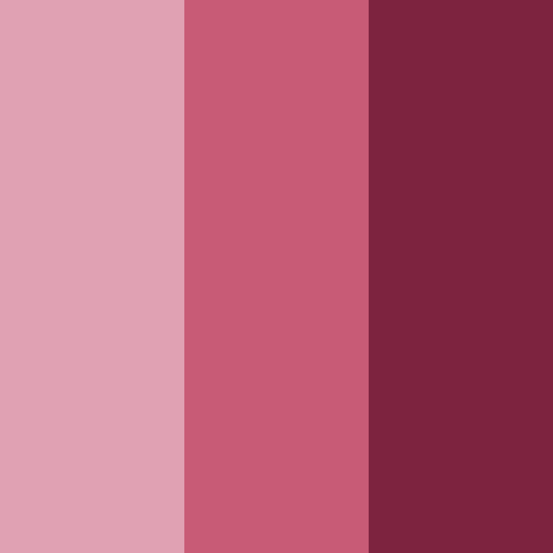 Download deep rose color palette PNG image (square)