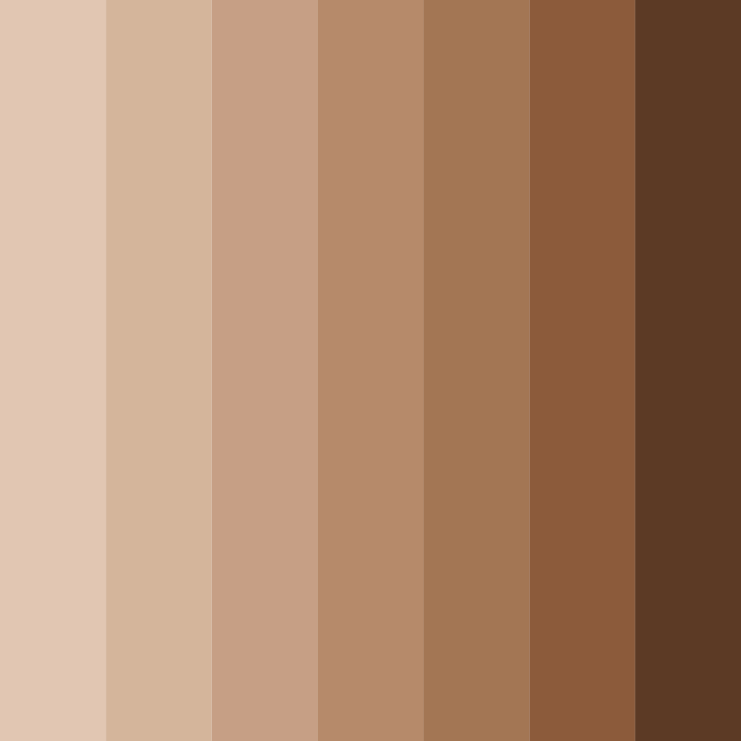 Download café mocha dreams color palette PNG image (square)