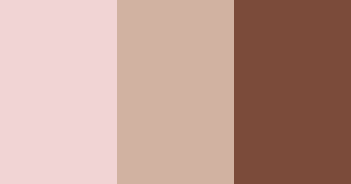 Download blush brew color palette PNG image (landscape)