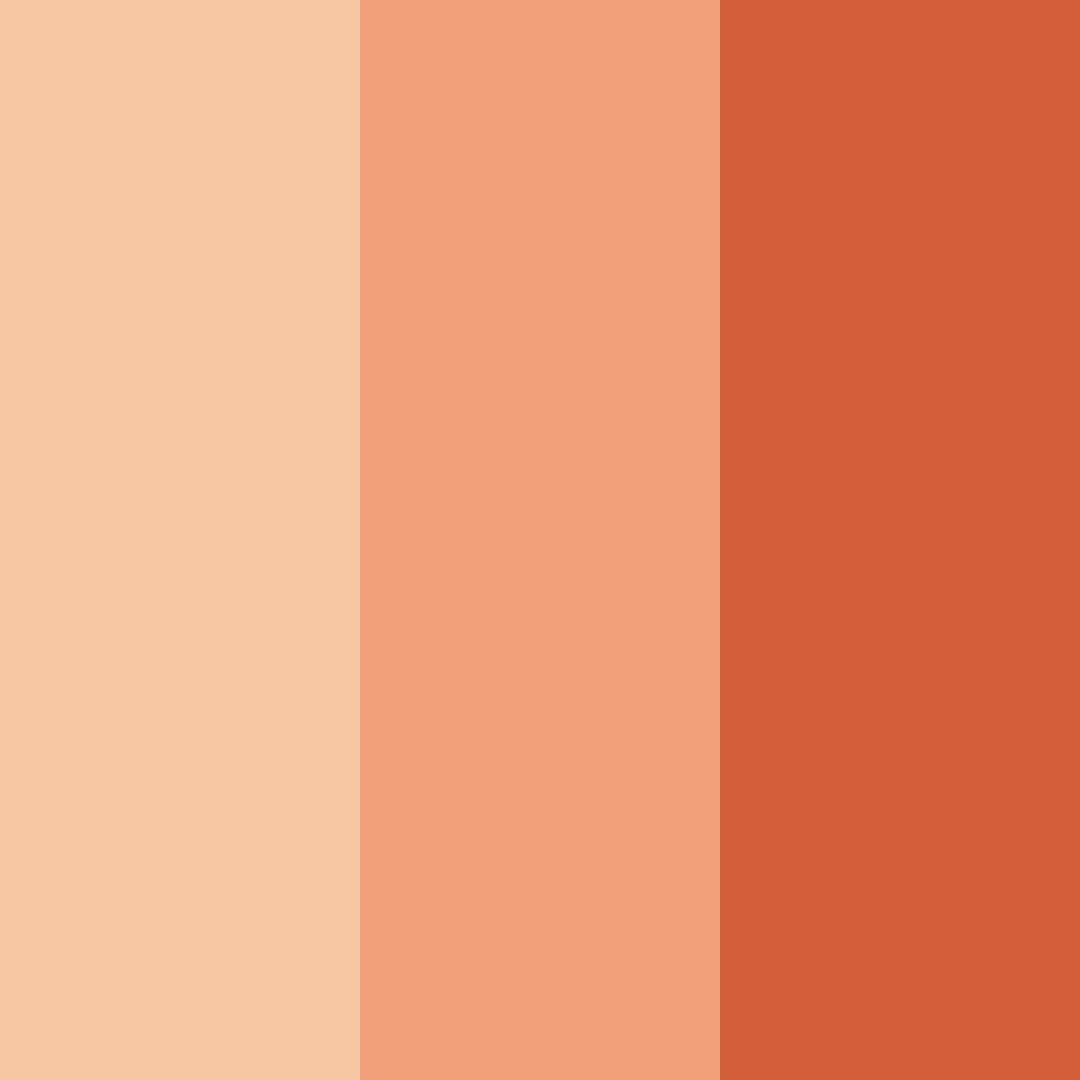 Download peachy coral color palette PNG image (square)