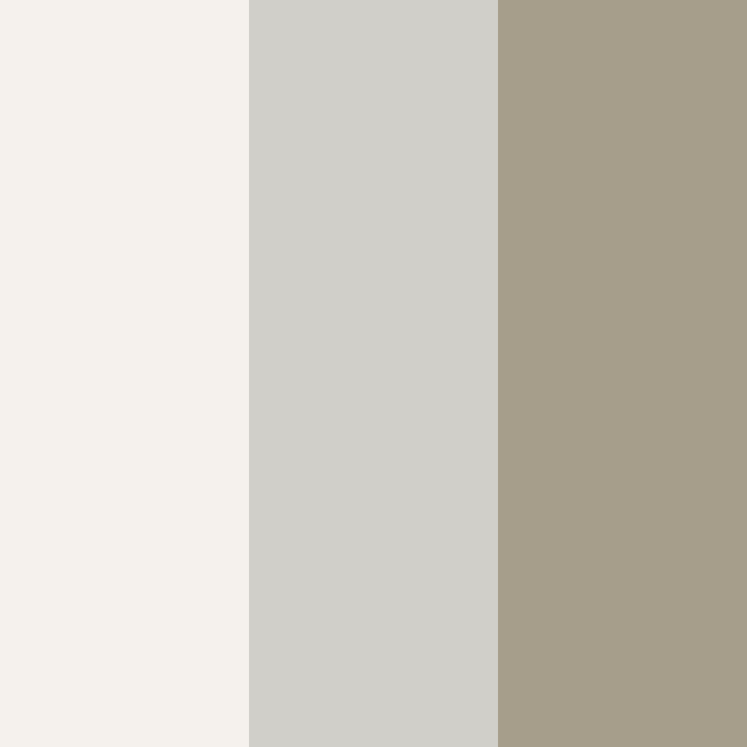 Download whispering sandstone color palette PNG image (square)