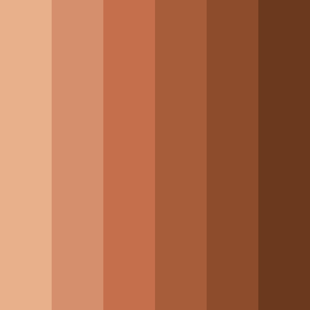 Download terracotta sunset color palette PNG image (square)