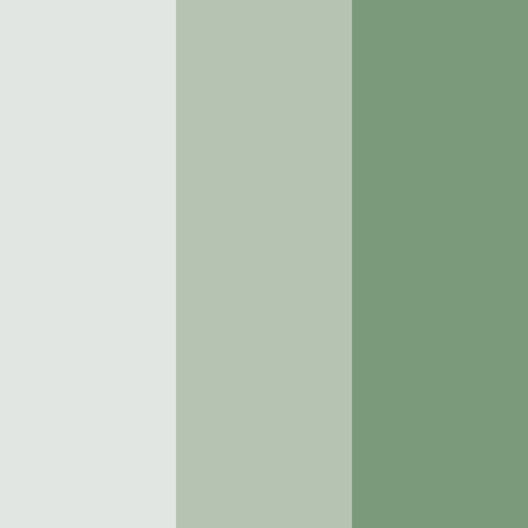 Download serene forest whisper color palette PNG image (square)