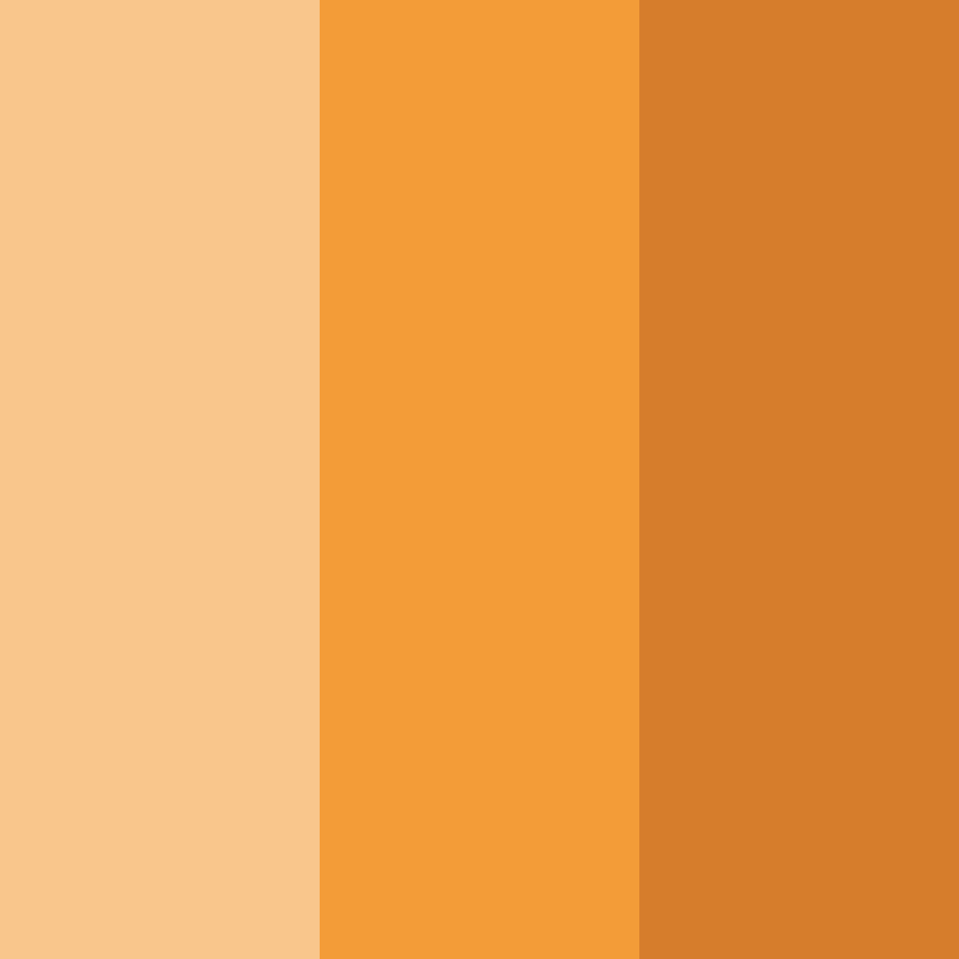 Download calm orange color palette PNG image (square)
