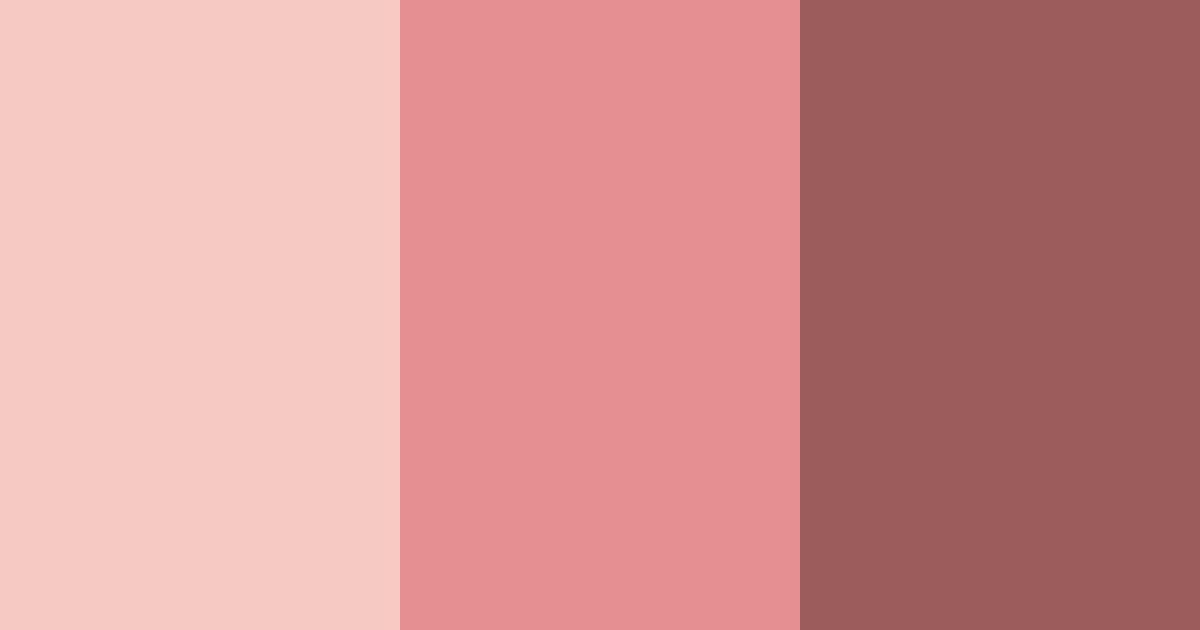 Download muted red color palette PNG image (landscape)