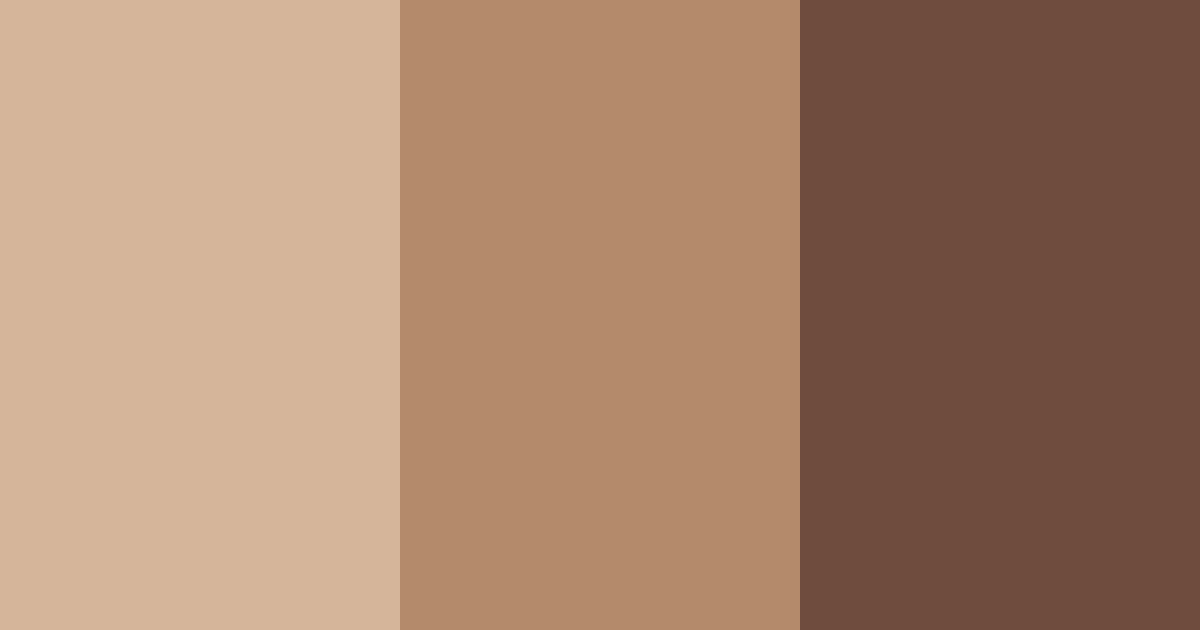 Download brown shades color palette PNG image (landscape)