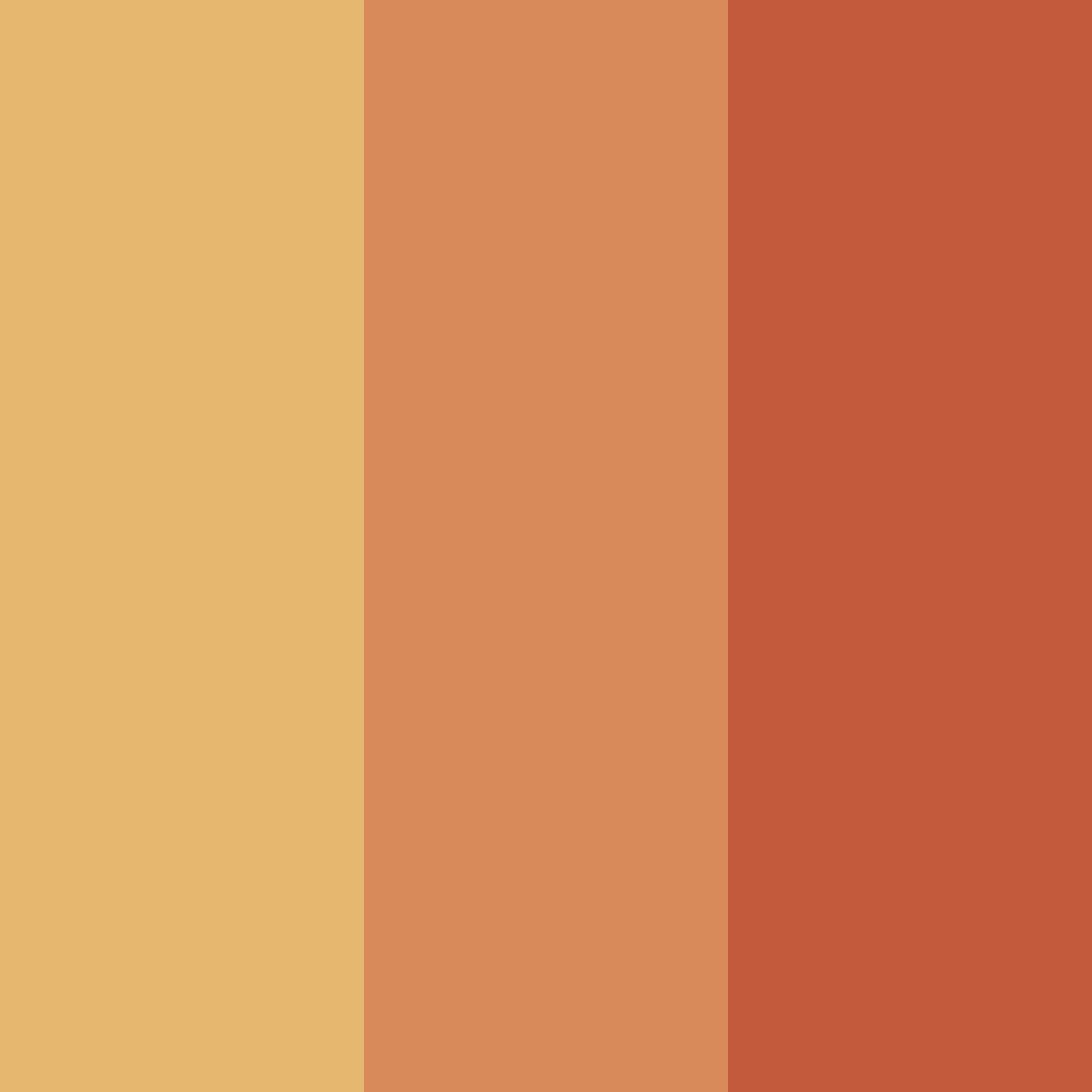 Download sunset earthtones color palette PNG image (square)
