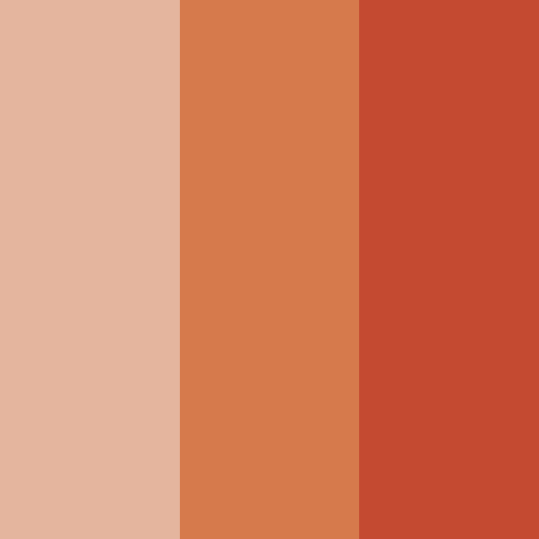Download warm terracotta color palette PNG image (square)