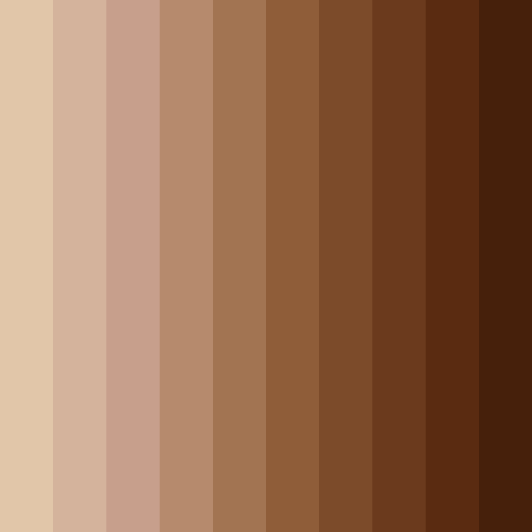 Download earthy elegance color palette PNG image (square)