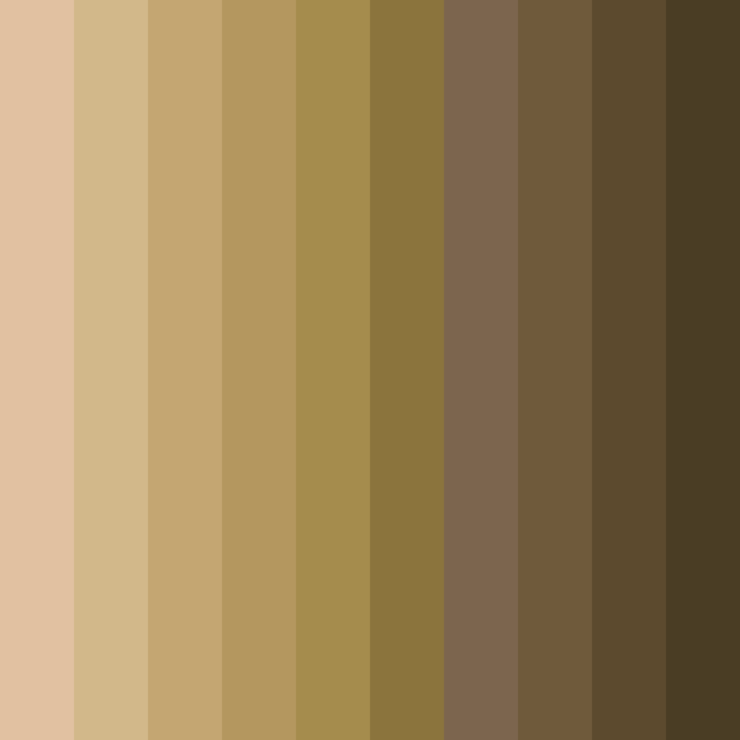 Download brown earth color palette PNG image (square)