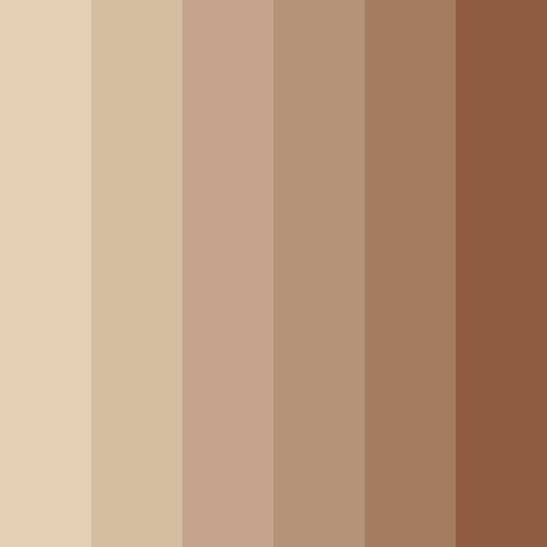 Download warm sandstone serenade color palette PNG image (square)