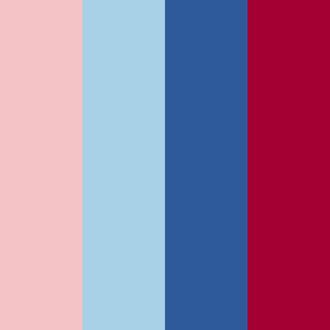 Download stars and stripes harmony color palette PNG image (square)