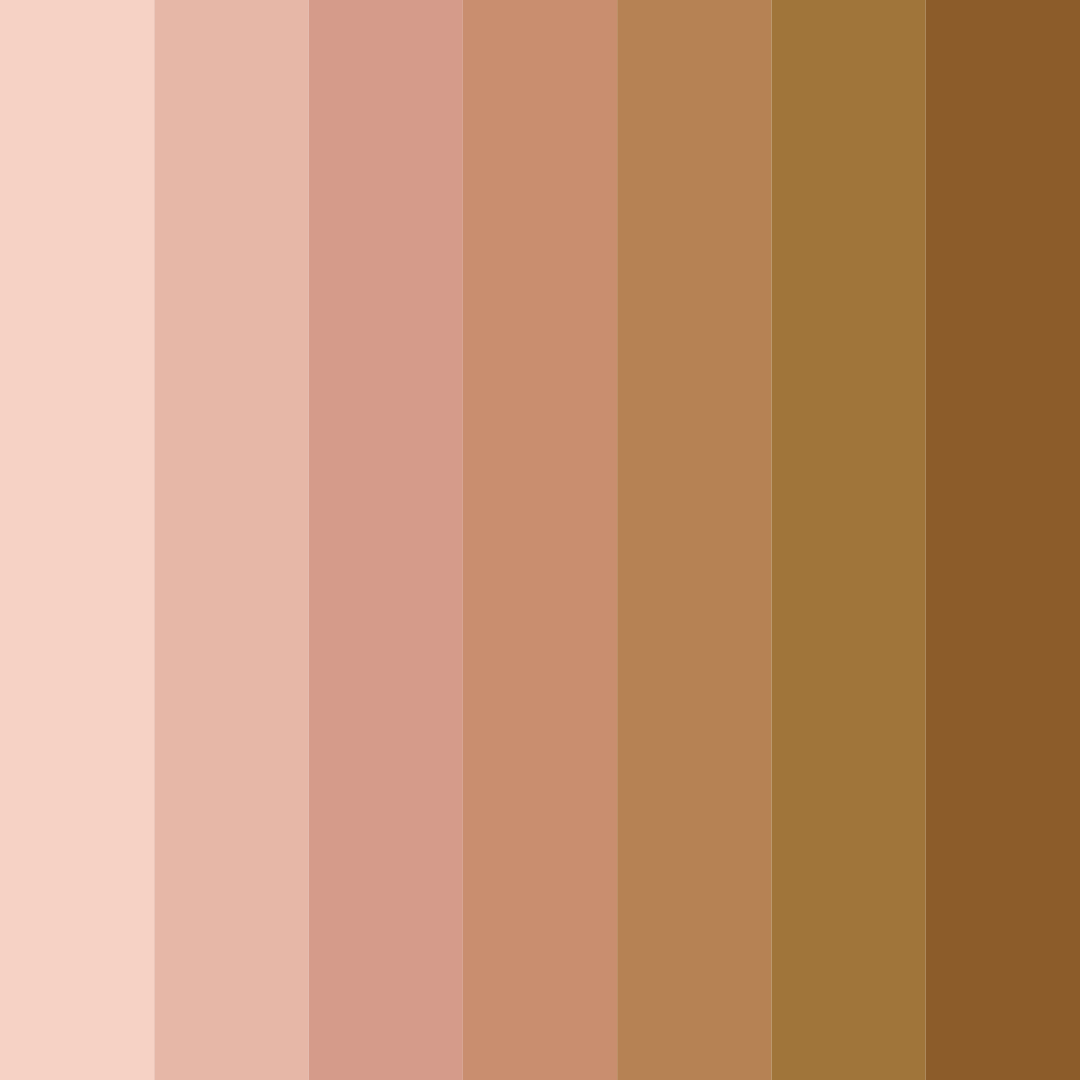 Download warm terracotta color palette PNG image (square)