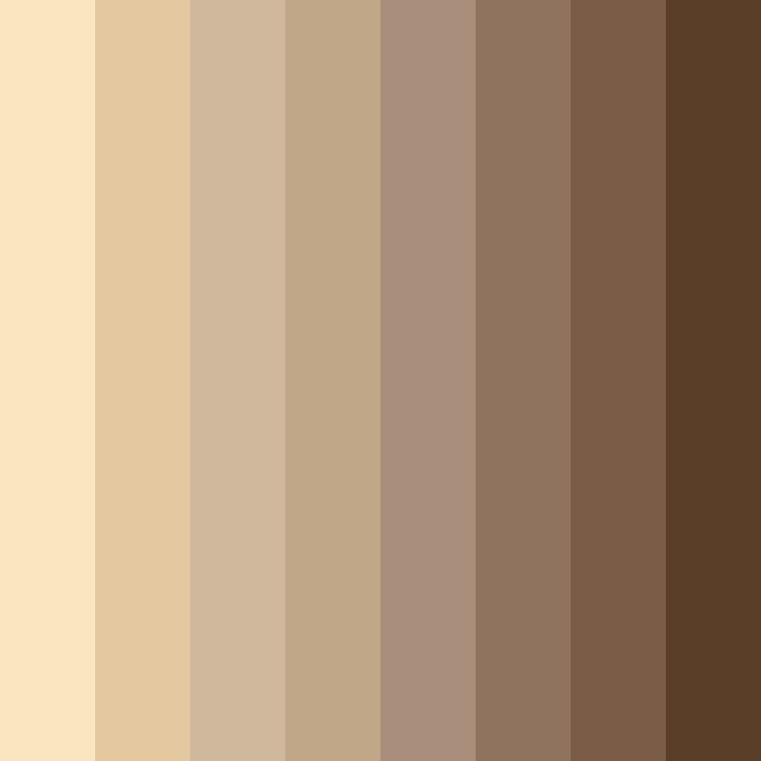 Download harvested oats color palette PNG image (square)