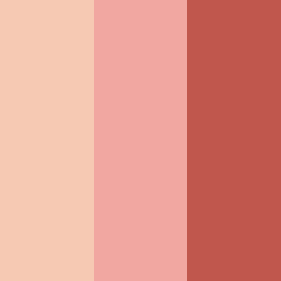Download warm coral color palette PNG image (square)