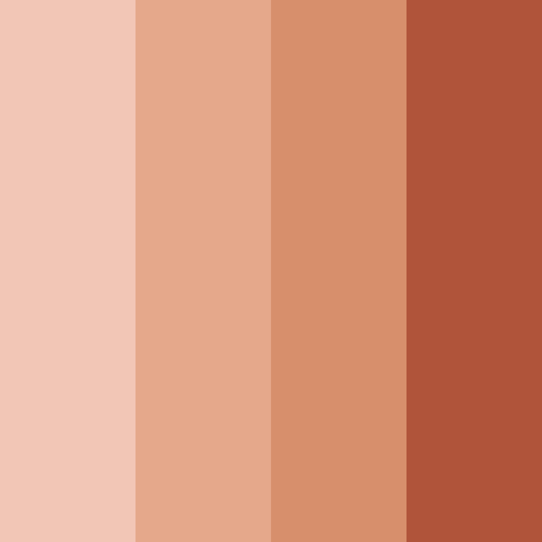 Download warm clay orange color palette PNG image (square)