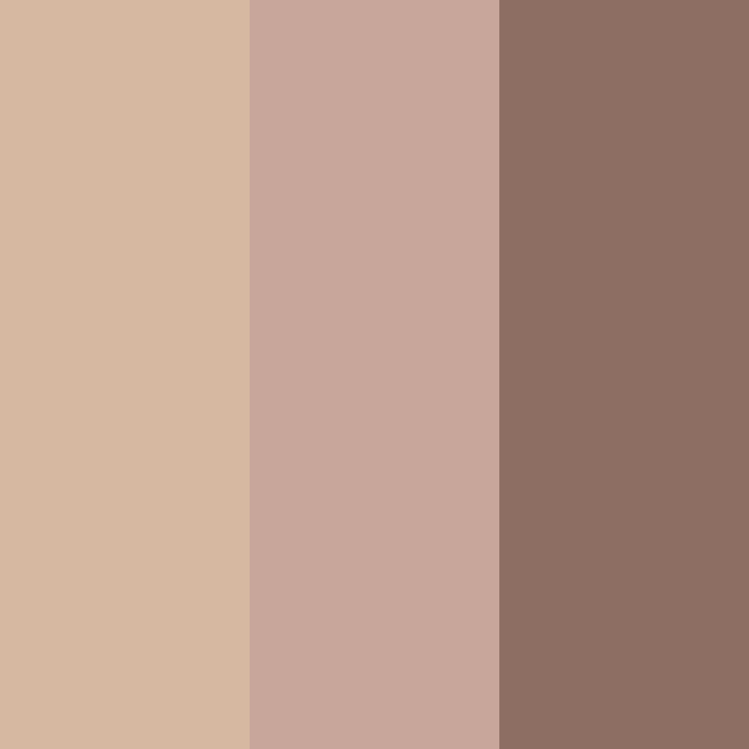 Download warm earth embrace color palette PNG image (square)