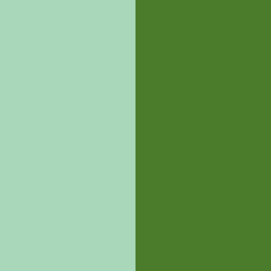 Download emerald canopy color palette PNG image (square)