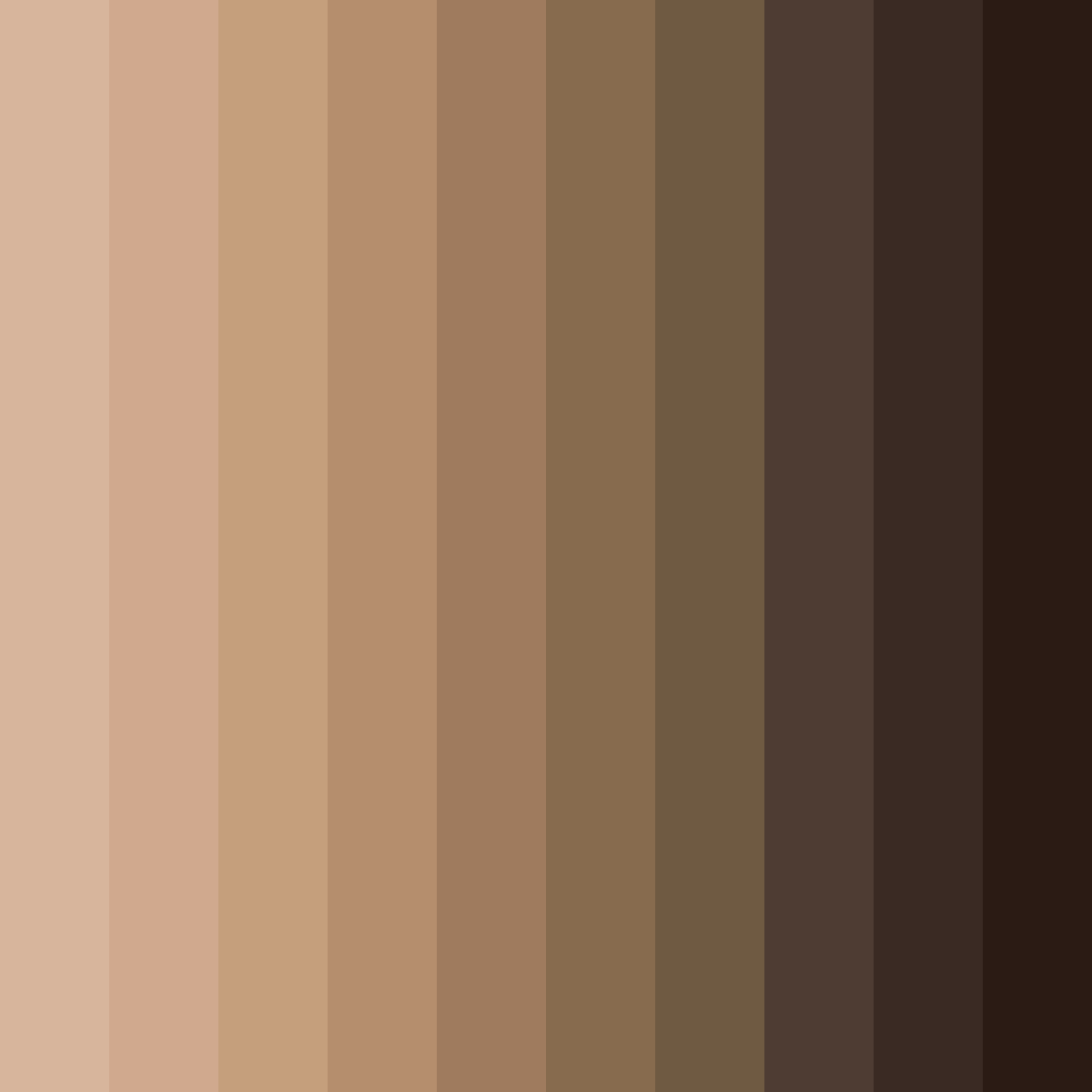 Download rich brown color palette PNG image (square)