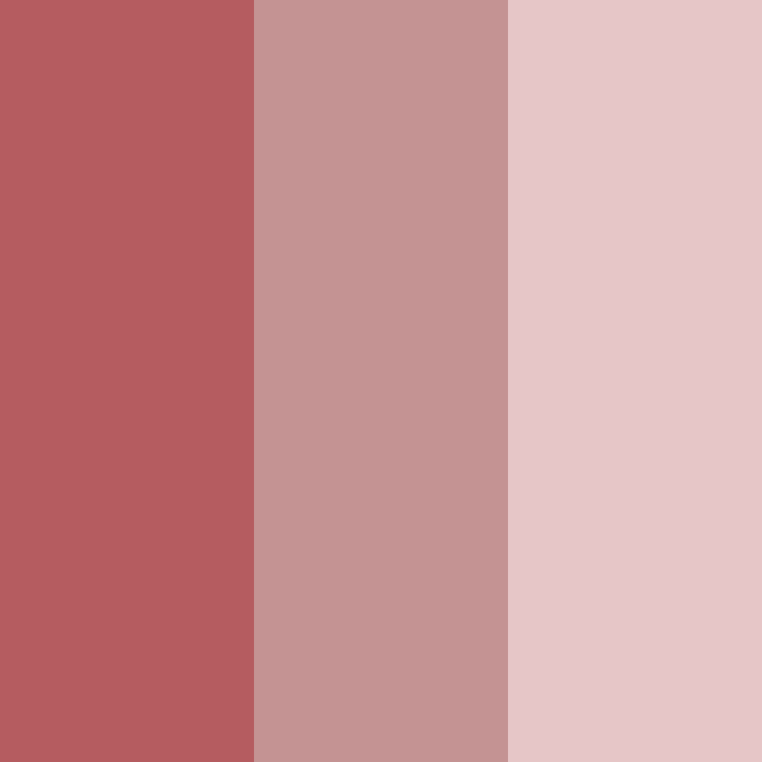 Download shades of red color palette PNG image (square)