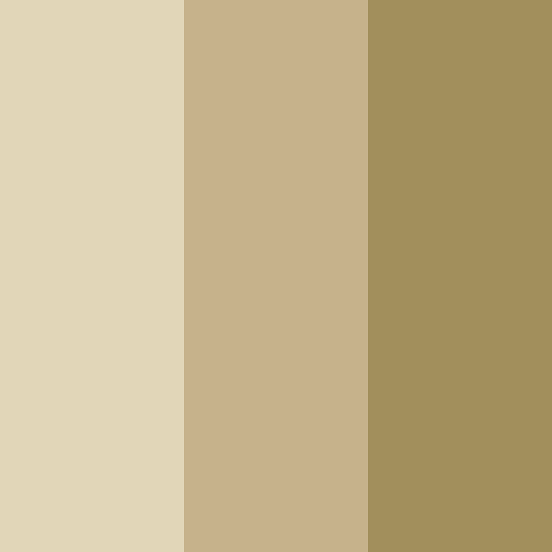 Download golden meadow serenade color palette PNG image (square)
