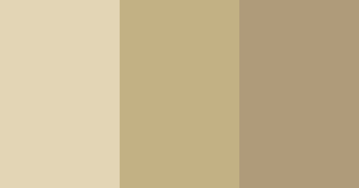 Download earthy elegance color palette PNG image (landscape)