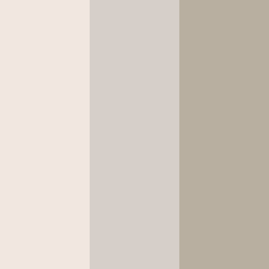 Download soft beige color palette PNG image (square)