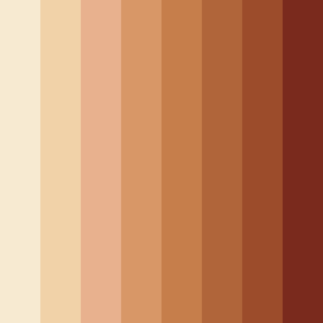 Download desert sunset harmony color palette PNG image (square)