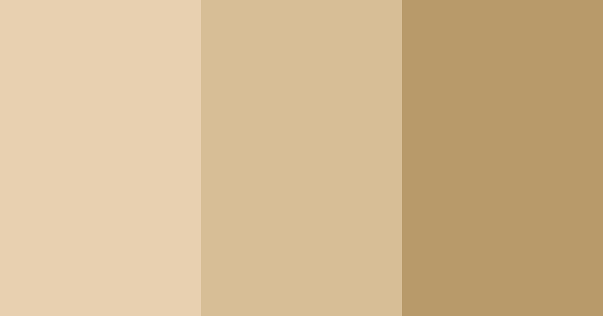 Download sandy sunrise color palette PNG image (landscape)