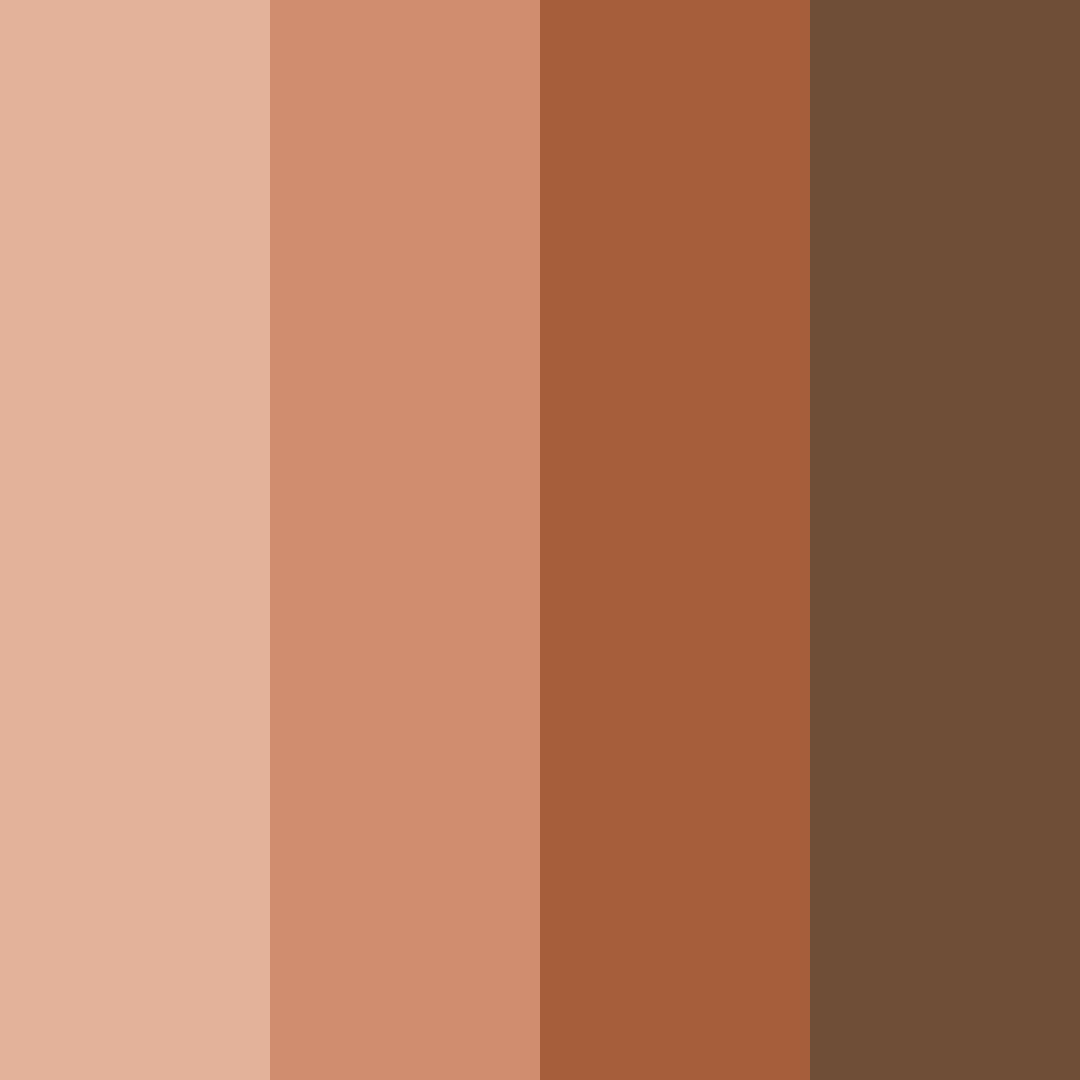 Download cocoa embrace color palette PNG image (square)